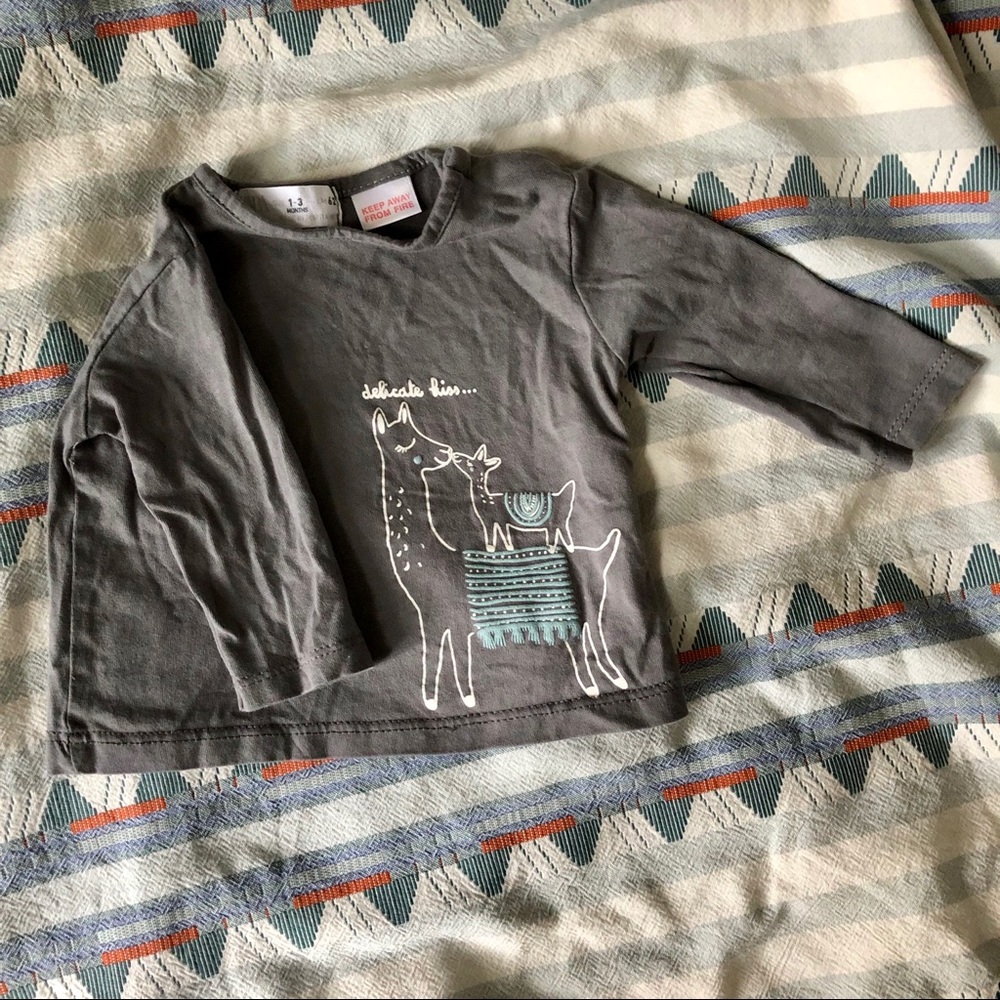 Baby long sleeve tee Zara gray shirt